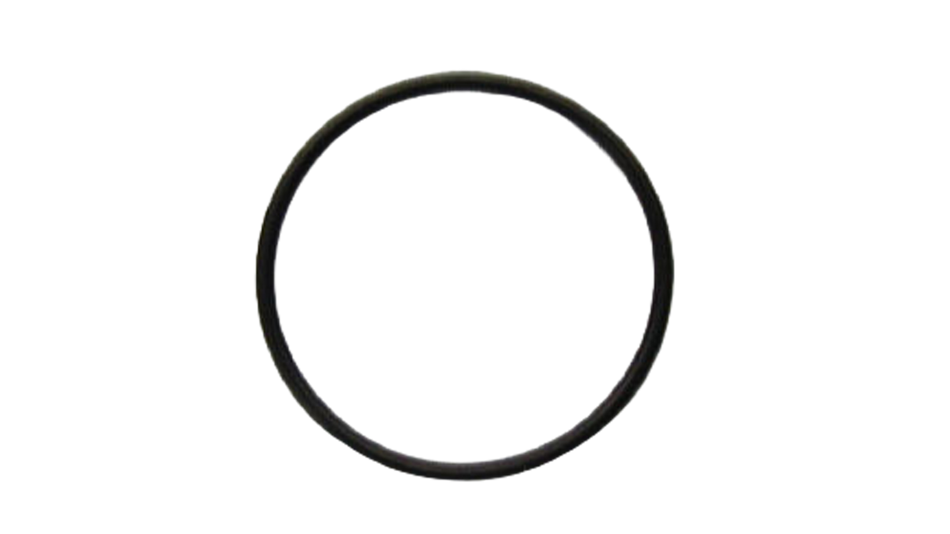 O-Ring "S-42" für Filtergehäuse